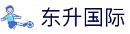 东升国际 - 东升导航